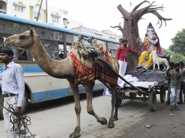 Ganesh takes a camel ride! An idol of Ganesh being carried on a camel cart in Indore on Friday. (Amit K Jaiswal/HT photo)