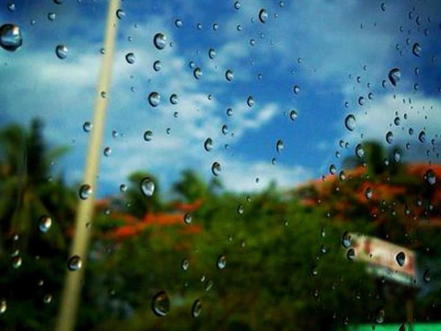 Scattered raindrops (via @A_DTee on Twitter)