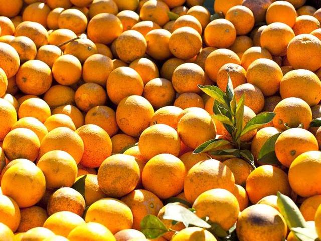 Orange: Like most citrus fruits, it contains vitamin C along with beta carotene, folic acid, phosphates, iodides, iron, phytonutrients and flavonoids that help to treat dark spots and blemishes. The orange peel can be powdered and used as a scrub for instant glow and skin whitening as it acts as a natural bleach.