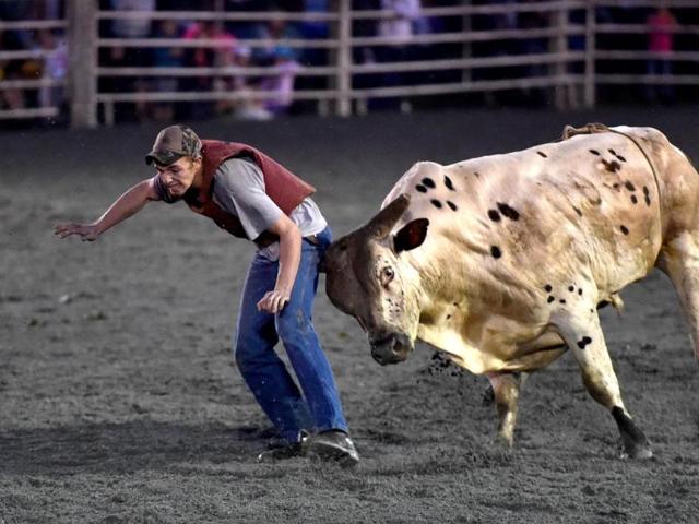 A bull gores a spectator volunteering to play with it during the "Battle of the Beast" bull riding competition at J Bar W ranch in Union Bridge, Maryland. (AFP Photo)