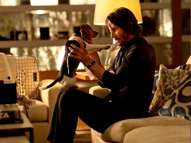 John-Wick John-Wick