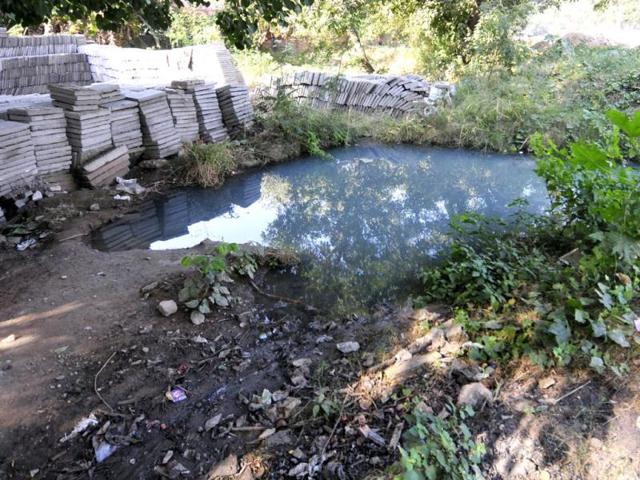 A-green-belt-in-Sector-30-Chandigarh-remains-in-a-dismal-state-belying-claims