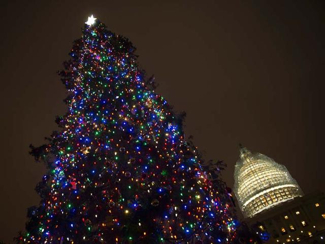 An 88-foot white spruce, the Capitol Christmas Tree at the US Capitol in Washington. (AFP Photo)