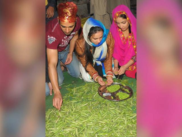 Actor Pulkit Samrat with his wife Shweta Rohira and actress Yami Gautam shell peas as sewa at the Golden temple in Amritsar. (AFP Photo)