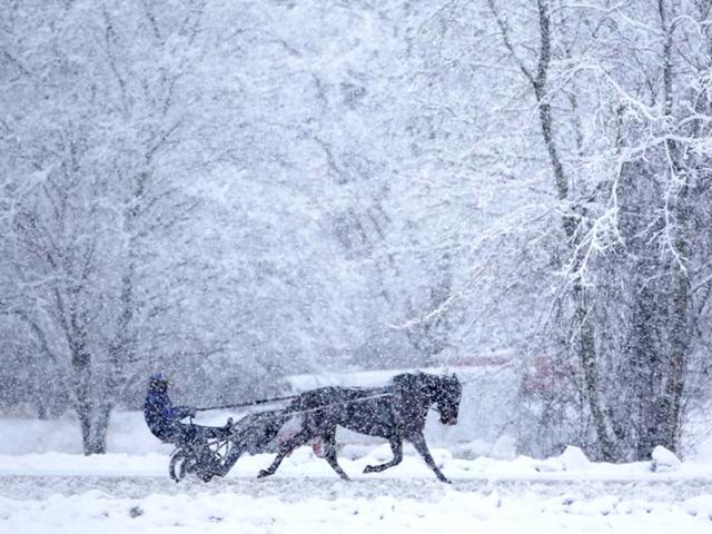 A horse and driver take a lap on a snowy morning during training on the harness track at Saratoga Casino and Raceway . (AP Photo/Mike Groll) 