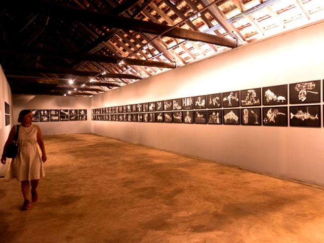 Internationally famed filmmaker and artist Madhusudhanan’s the 90 charcoal on paper works titled Logic of Disappearance depict several historical incidents and characters from India to the erstwhile Soviet Union and China. The works are at Aspinwall House.