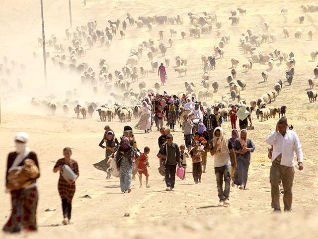 Displaced people from the minority Yazidi sect, fleeing violence from forces loyal to the Islamic State in Sinjar town, walk towards the Syrian border. (Reuters Photo)