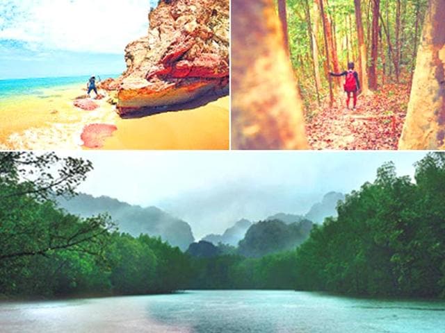 Langkawi, the land of mystic mangroves | Travel - Hindustan Times