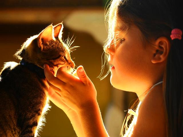Keeping-a-dog-or-any-other-animal-at-home-could-help-improve-the-social-skills-of-children-with-autism-and-make-them-more-assertive-Shutterstock Keeping-a-dog-or-any-other-animal-at-home-could-help-improve-the-social-skills-of-children-with-autism-and-make-them-more-assertive-Shutterstock