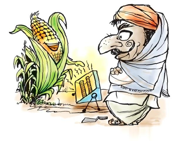 Madhya-pradesh-farmers