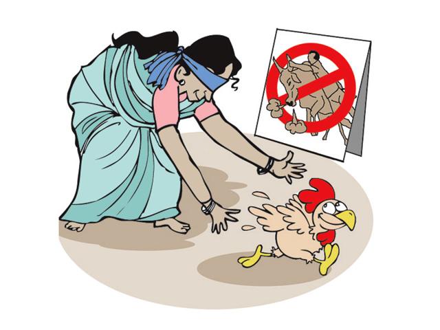 Catch-the-rooster-races-replaced-the-banned-sport-of-Jallikattu-during-Pongal-Illustration-Abhimanyu-Sinha