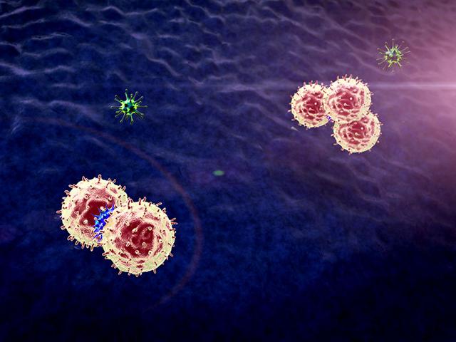 Researchers-have-developed-10-new-antibodies-that-can-be-used-in-the-battle-against-cancer-Shutterstock