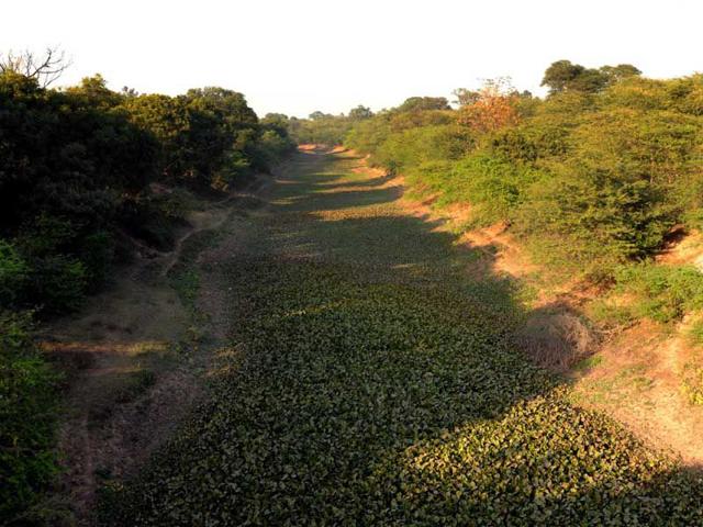 View-of-SYL-canal-at-village-Kaami-Kala-near-Shambhu-Bharat-Bhushan-HT View-of-SYL-canal-at-village-Kaami-Kala-near-Shambhu-Bharat-Bhushan-HT