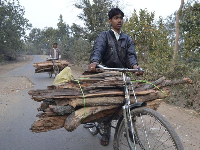 Villagers-on-their-way-to-home-with-dry-wood-from-Mahan-Mujeeb-Faruqui-HT-photo Villagers-on-their-way-to-home-with-dry-wood-from-Mahan-Mujeeb-Faruqui-HT-photo