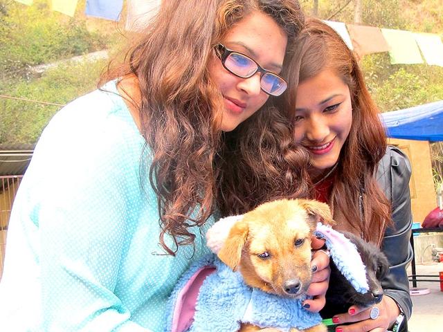 Dog lovers of Kathmandu spend time romancing rescued street dogs on Valentine's Day. (Photos: Utpal Parashar)