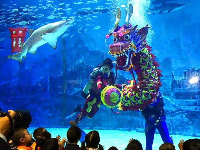 A group of Chinese children enjoy an underwater dragon dance performance at an aquarium in Beijing as part of festivities to welcome the Lunar New Year of the Sheep which will fall on February 19 this year. (AFP Photo)