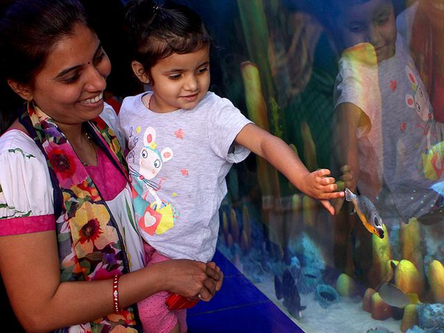 A child watches the fish at the launch of newly renovated Taraporewala aquarium in Mumbai. (Arijit Sen/HT photo)