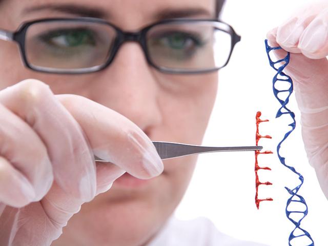 By-identifying-a-key-gene-for-each-trait-and-how-it-is-affected-epigenetically-it-is-potentially-possible-to-influence-the-degree-of-its-expression-Photo-Shutterstock