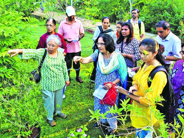 Usha-Desai-in-green-at-the-walk-at-Dattaji-Salvi-Udyan-in-Thane-Praful-Gangurde-HT-photo Usha-Desai-in-green-at-the-walk-at-Dattaji-Salvi-Udyan-in-Thane-Praful-Gangurde-HT-photo