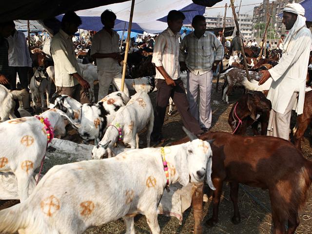Traders Call Off Strike Beef To Be Back On Mumbai Menu Hindustan Times Cattle trade rules go against 1960 law. traders call off strike beef to be
