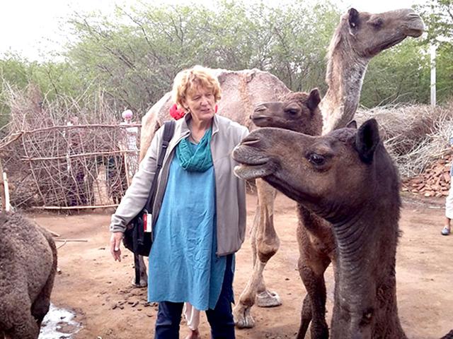 Ilse-Kohler-Rollefson-in-Gamnaram-Raika-s-courtyard-with-his-camels-Lob-and-Hongdi-and-their-calves-Photo-Manjula-Narayan