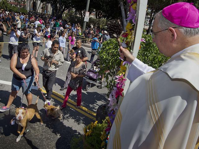 Dogs receive a holy water blessing from Catholic Archbishop Jose H. Gomez during a Blessing of Animals Easter event in Los Angeles, California. (AFP Photo)