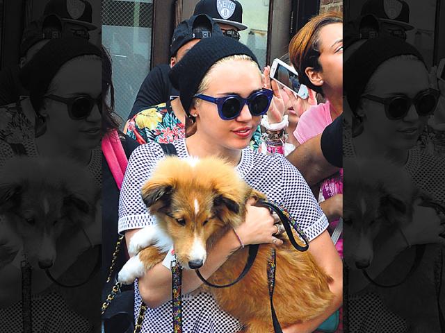 Miley Cyrus with her Rough Collie, Emu. Miley Cyrus with her Rough Collie, Emu.