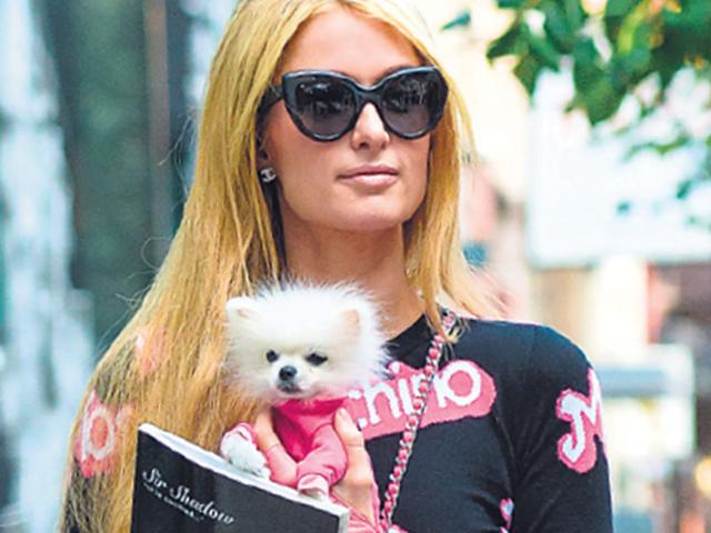 Paris Hilton with her new unnamed Pomeranian. Paris Hilton with her new unnamed Pomeranian.