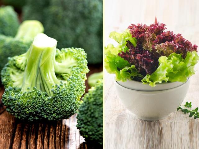 Broccoli-has-89-water-content-whereas-lettuce-has-95-water-in-it-Photo-Shutterstock Broccoli-has-89-water-content-whereas-lettuce-has-95-water-in-it-Photo-Shutterstock