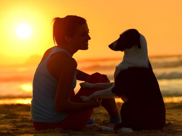 Dogs-There-s-a-reason-we-call-them-man-s-best-friend-We-can-learn-so-many-things-from-a-dog-s-behavior-and-personality-Shutterstock