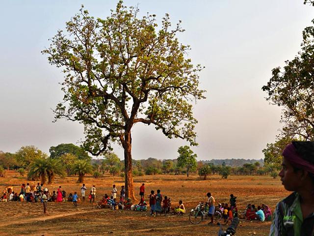 Weekly market in Halba Bas, Kuakonda, Dantewada. (Saumya Khandelwal/ HT Photo)