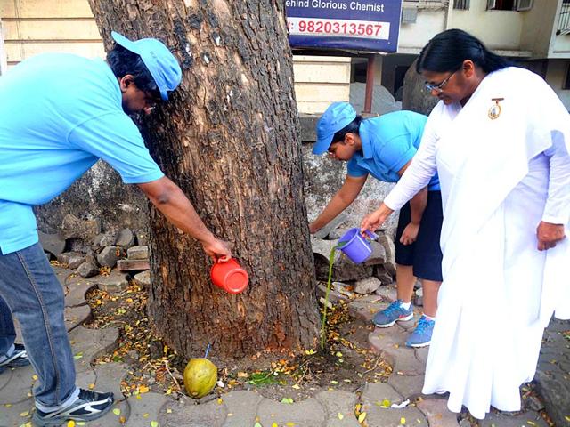 NGO-members-with-locals-applied-neem-paste-at-the-base-of-50-trees-infested-with-mealy-bug-at-Santacruz-in-Mumbai-Photo-Sanjay-Solanki NGO-members-with-locals-applied-neem-paste-at-the-base-of-50-trees-infested-with-mealy-bug-at-Santacruz-in-Mumbai-Photo-Sanjay-Solanki