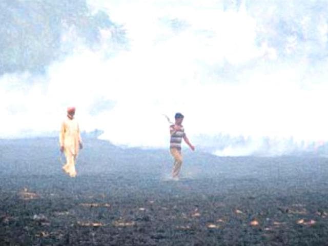 Reports-sat-that-burning-of-crop-stubble-in-Punjab-and-Haryana-is-a-major-cause-of-smog-HT-Photo