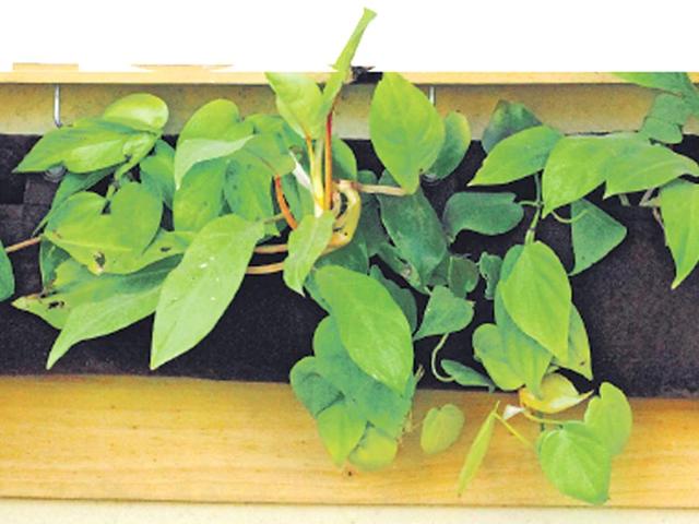 Article image Article image