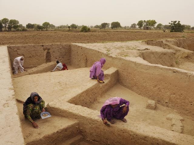 Mound 6 in this village is the site of a complex structure of a Harappan home. (Saumya Khandelwal/ HT Photo)