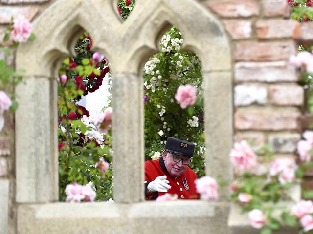 Chelsea pensioners look at a display at the Royal Horticultural Soceity's Chelsea Flower Show. (Reuters)