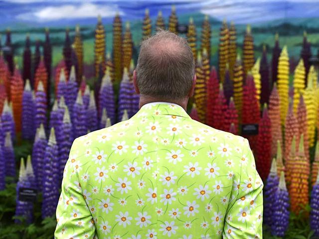 A visitor looks at a display of Lupins at the Chelsea Flower Show in London. (Reuters)