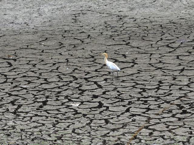 According-to-World-Meteorological-Organisation-2015-could-be-the-warmest-year-on-record-HT-photo According-to-World-Meteorological-Organisation-2015-could-be-the-warmest-year-on-record-HT-photo