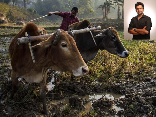 The-picture-which-will-be-exhibited-in-Belgium-from-June-3-to-4-Inset-Anshul-Mehrotra-HT The-picture-which-will-be-exhibited-in-Belgium-from-June-3-to-4-Inset-Anshul-Mehrotra-HT