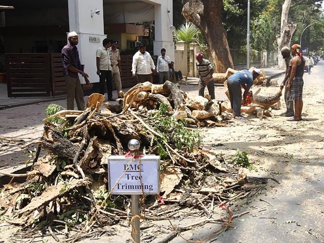 BMC workers cut dead trees on the eve of World Environment Day at Matunga, in Mumbai. (Vijayanand Gupta/HT photo)