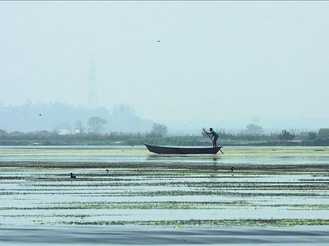 40-years-after-it-was-conceived-India-will-finally-launch-its-ambitious-river-interlinking-project-in-December-to-irrigate-parched-farmlands-and-generate-power-Representative-Photo 40-years-after-it-was-conceived-India-will-finally-launch-its-ambitious-river-interlinking-project-in-December-to-irrigate-parched-farmlands-and-generate-power-Representative-Photo
