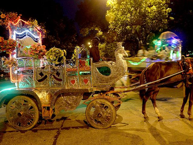 A coachman sits in a 'Victoria' - horse-drawn carriage as he waits for passengers on a road in Mumbai. Mumbai's ornate horse-drawn carriages are nearing the end of the road after the Bombay high court ruled them illegal, saying owners must wind up operations within a year. (AFP photo)