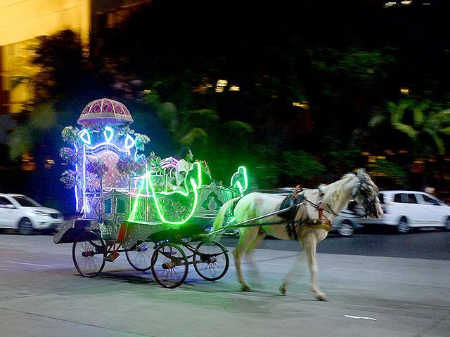 A coachman guides a 'Victoria' carriage with passengers as it travels along a road in Mumbai. The silver-coloured Victorias -- styled on open carriages used during Queen Victoria's reign -- have been plying Mumbai's streets since British colonial times, and for years have been a tourist attraction. (AFP photo)