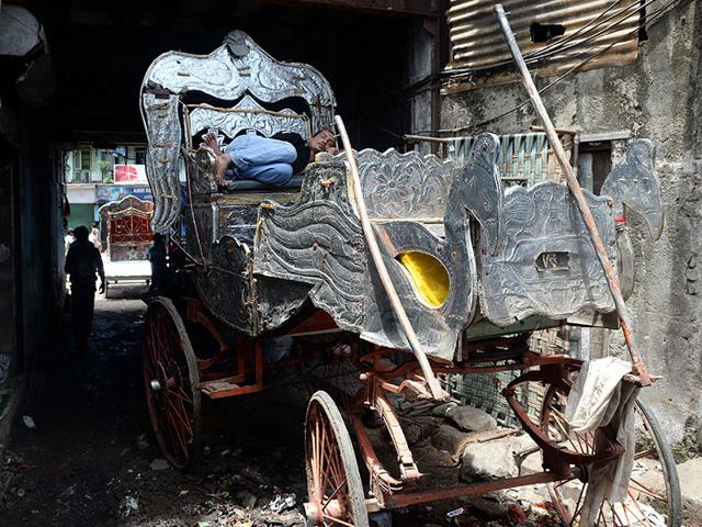A man sleeps in a 'Victoria' carriages inside a warehouse/stable in Mumbai. These silver-coloured horse-drawn carriages are nearing the end of the road after the Bombay high court ruled them illegal, saying owners must wind up operations within a year. (AFP photo)