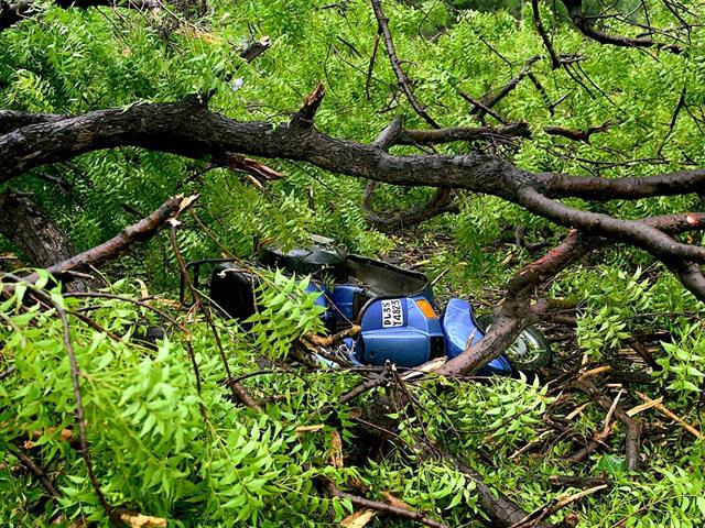 A scooter is crushed under a fallen tree at a road during a storm in New Delhi (PTI Photo)