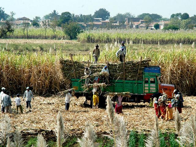 सलपरउसमनबद रलवचय भसपदनल मळल पस बजटमधय तरतद   Marathi News  Money received for land acquisition of SolapurOsmanabad  railway in budget 2023  Latest solapur News 