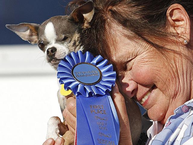 In this 2010 file photo, a woman holds her purebred chihuahua Princess Abby after winning the World's Ugliest Dog Contest in Petaluma, California.