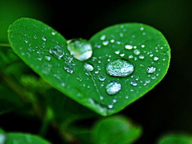 The rain brought relief to the tricity residents as the temperatures came down on Saturday. (Karun Sharma/HT)