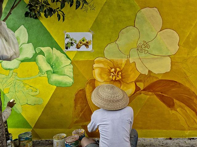 Launched in 2012, the project which was funded by the Mexican government employed 20 graffiti artistts to paint more than 200 houses. The aim was to redesign the city's social fabric and reduce crime. (AFP Photo)