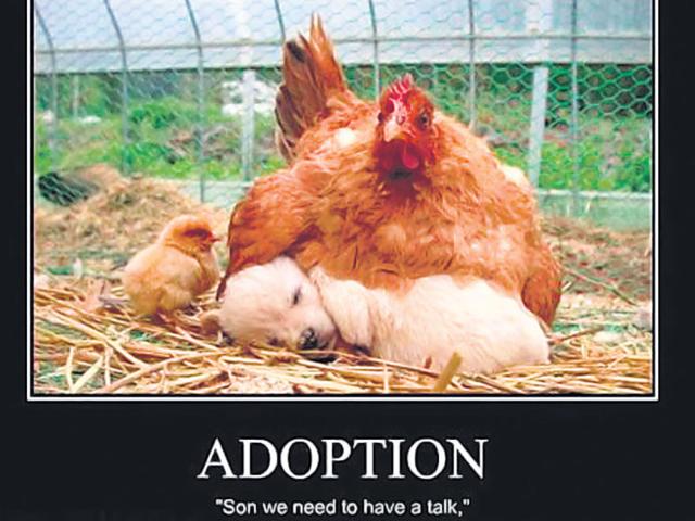 Do-you-want-to-adopt-a-child